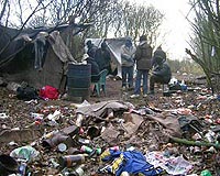 Analysis: A jungle in France