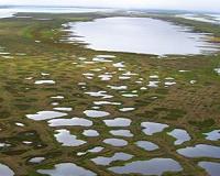 Certain Arctic lakes store more greenhouse gases than they release