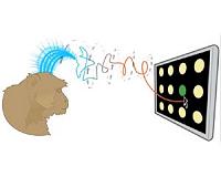 Brain-controlled prosthesis nearly as good as one-finger typing