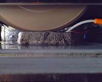 Princeton geologists solve fossil mystery by creating 3-D 'virtual tour' through rock