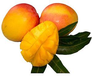 New studies explore mango's potential health-affirming properties