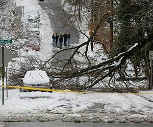 'Thunder-snow' storm buries US north-east