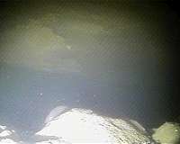 Robotic submarine snaps first-ever images at foundation of notorious Antarctic glacier