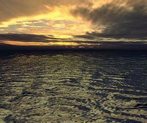 Ocean acidification may be worst in 300 million years: study
