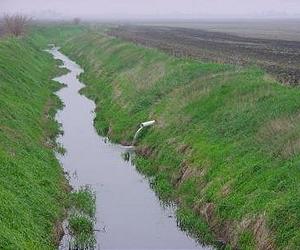 Tile Drainage Directly Related To Nitrate Loss