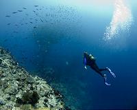Achieving fish biomass targets