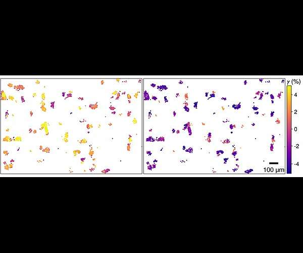 Some everyday materials have memories, and now they can be erased