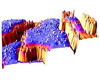 Tiny Step Edges, Big Step for Surface Science