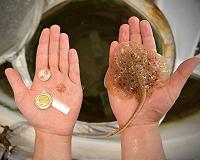 The debut of a robotic stingray, powered by light-activated rat cells