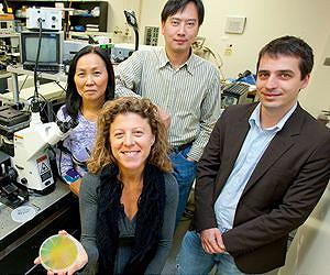 Livermore makes breakthrough in solar energy research