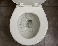 Using rainwater to flush toilets