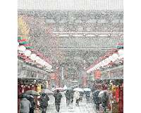Thousands stranded, scores injured in snowbound Tokyo