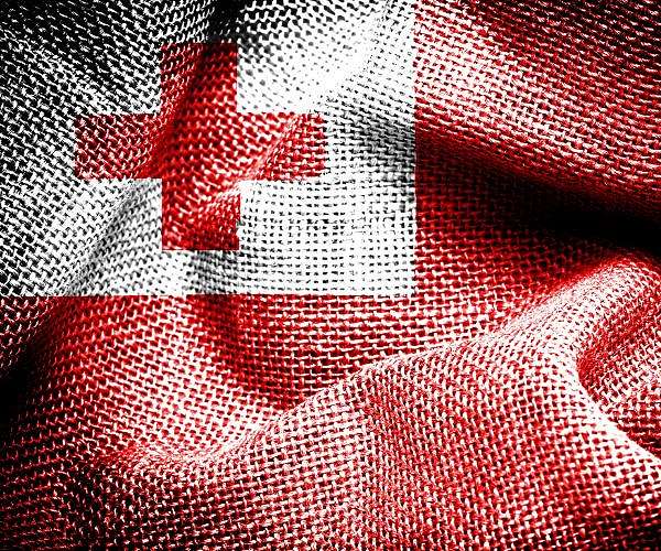 7.0-magnitude offshore quake hits near Tonga: USGS
