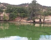 Blue-green algae poses threat to US water systems