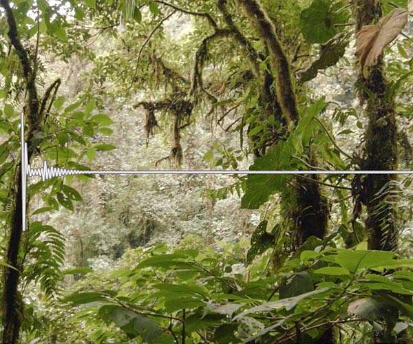 Scientists use acoustic soundscapes and EO data to assess health of the Amazon
