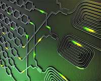Multi-purpose silicon chip created for quantum information processing