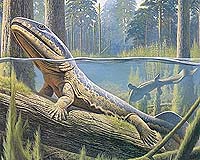 Ancient Amphibians Evolved A Bite Before Migrating To Dry Land