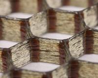 Carbon-fiber epoxy honeycombs mimic performance of balsa wood