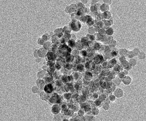 Ingested nanoparticle toxicity