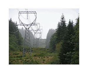 Why Bringing Down The Electric Grid Is Hard