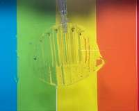 Transparent gel-based robots can catch and release live fish