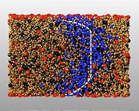 Behind the dogmas of good old hydrodynamics