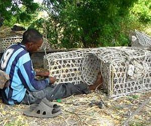 WCS reduces fish bycatch with escape gaps in Africa