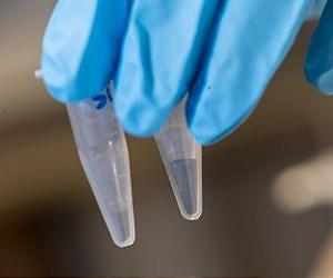 Rice team boosts silicon-based batteries