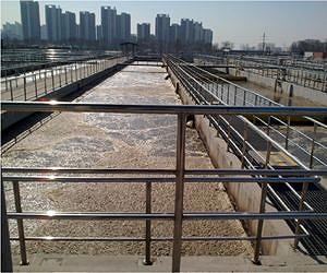'Superbugs' found breeding in sewage plants