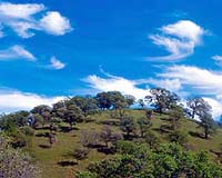 Researcher: Wild California just a memory