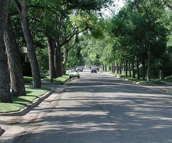 Most low-income blocks in U.S. cities are hotter, have fewer trees than suburbs