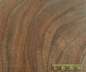 The water flow of the Amazon River in a natural climate archive
