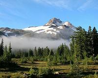 Soil freeze-thaw stimulates nitrous oxide emissions from alpine meadows