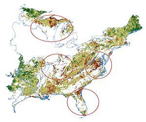 NASA Eyes Declining Vegetation In The Eastern United States From 2000 To 2010