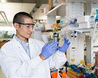 'Super yeast' has the power to improve economics of biofuels