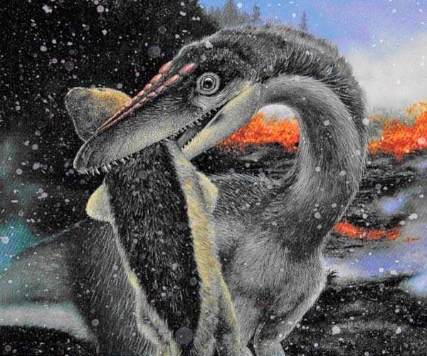 Dinosaurs took over amid ice, not warmth, says a new study of ancient mass extinction