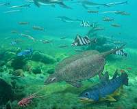 Are palaeontologists naming too many species?