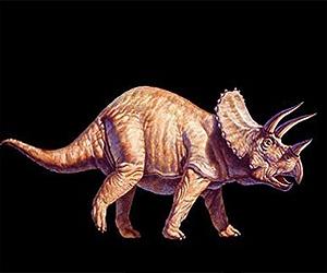 Triceratops And Torsaurus Were Same Dinosaur At Different Stages