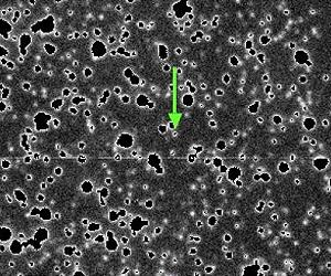 Asteroid Found In Gravitational Dead Zone