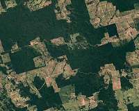 Amazon deforestation increases 25 percent in Brazil