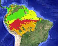 NASA finds Amazon drought leaves long legacy of damage