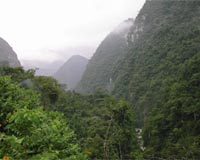 Ecuador returning German money in environment row