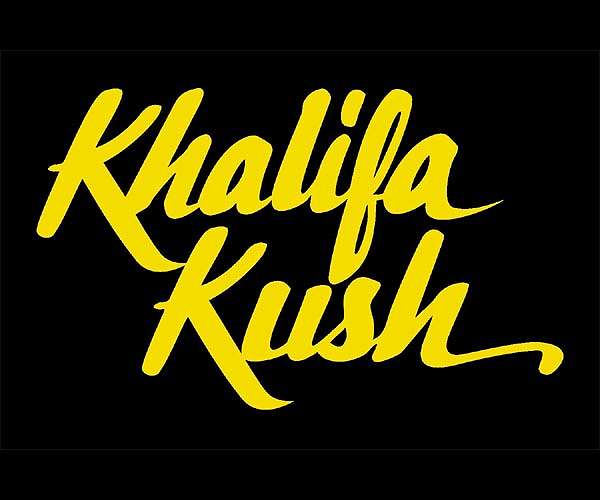Trulieve launches Khalifa Kush Cannabis in Florida through Wiz Khalifa deal