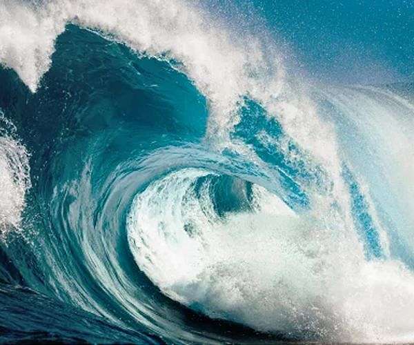 Humanity does not have effective tools to resist the tsunami