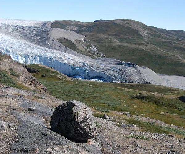 Scientists stunned to discover plants beneath mile-deep Greenland ice