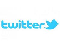 Blocked Chinese Twitter accounts targeted Beijing critics: think tank