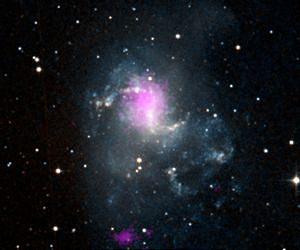 Do Black Holes Come in Size Medium?