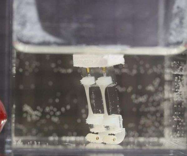 Innovative bipedal robot merging biology and robotics introduced by Tokyo scientists