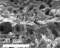 Rice develops dual-surface graphene electrode to split water into hydrogen and oxygen