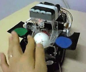 Insect drives robot to track down smells
